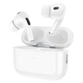 BW93 True Wireless ANC Noise Reduction BT Headset